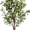 Drzewko oliwne Florino 130