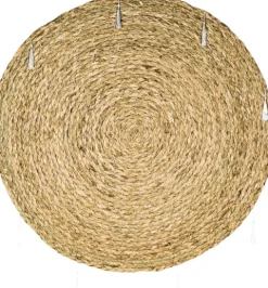 Dywan (naturalna trawa) Tasso 1