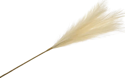 Gałązka trawy pampasowej Florino 159 (beżowy)