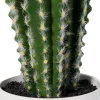 Kaktus Florino 9