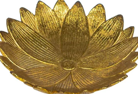 Patera kwiat Goldi 18