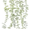 Roślina Florino 138