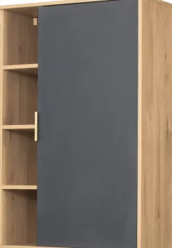 Szafka wisząca z drzwiczkami i półkami Floryda (grafit/dąb Soma ciemny)