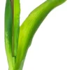 Tulipan Florino 92 (jasny róż)