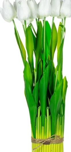 Tulipany Florino 95 (12szt)